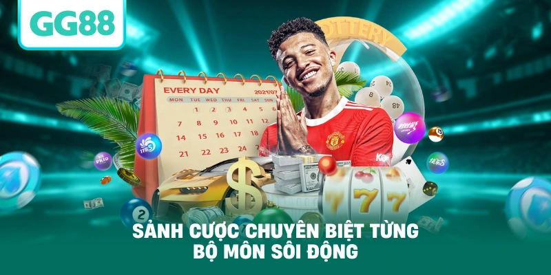 Sảnh cược chuyên biệt từng bộ môn sôi động